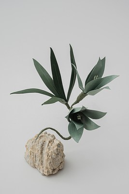 Image 23 of 31