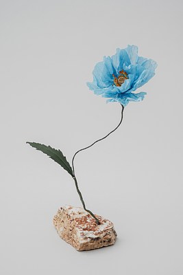 Image 27 of 31