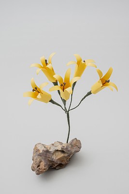 Image 31 of 31