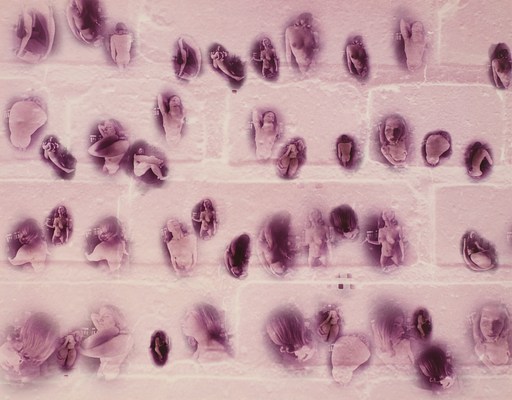 Image 14 of 31