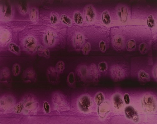 Image 15 of 31