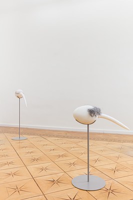Image 4 of 38