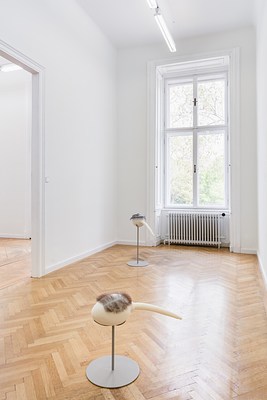 Image 7 of 38