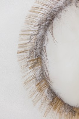 Image 12 of 38