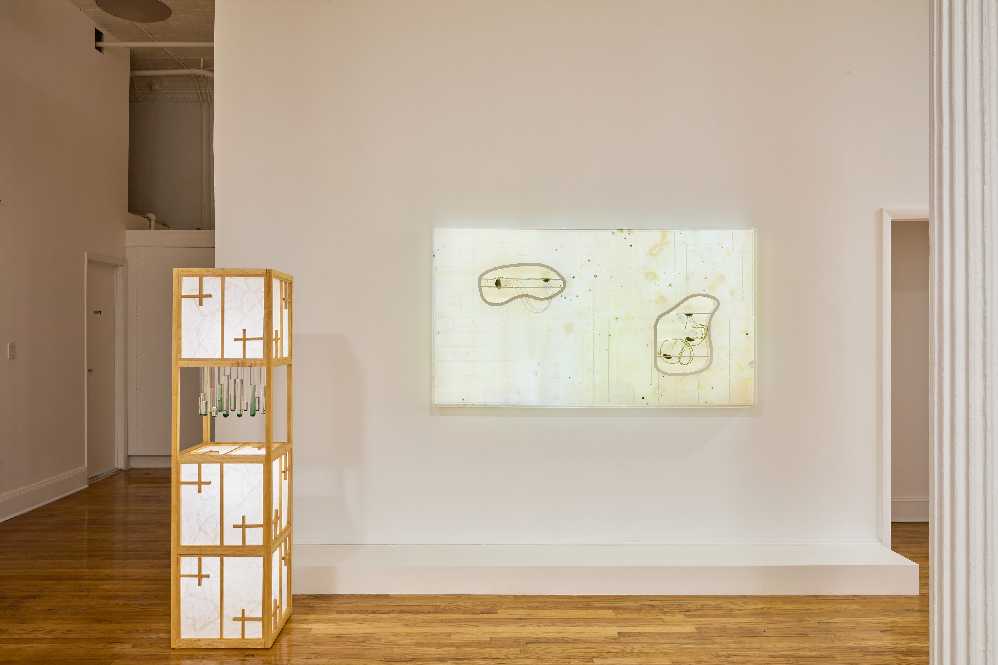 Transmutations, Transmutations at Bortolami, photo 9