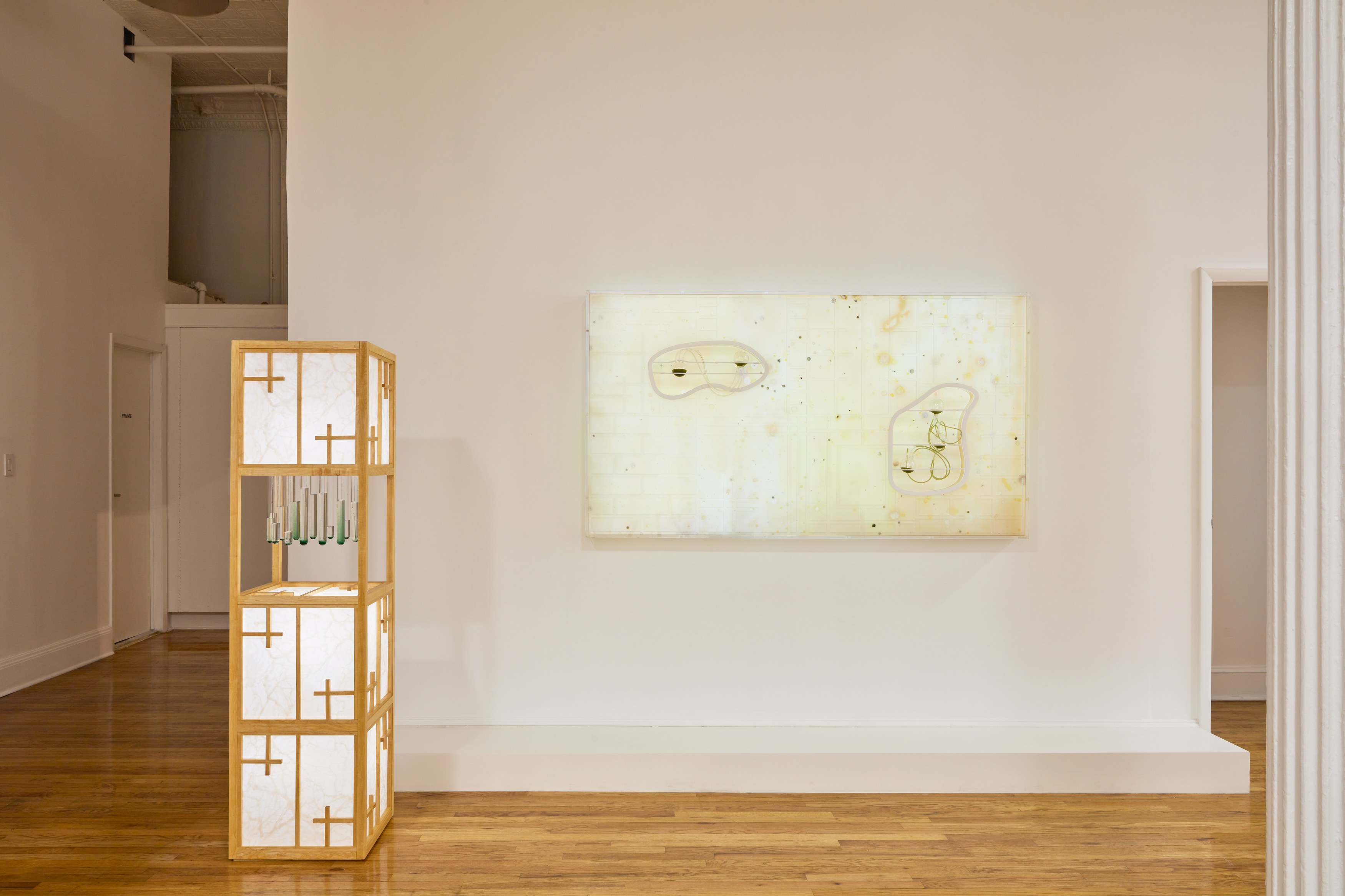 Transmutations, Transmutations at Bortolami, photo 10