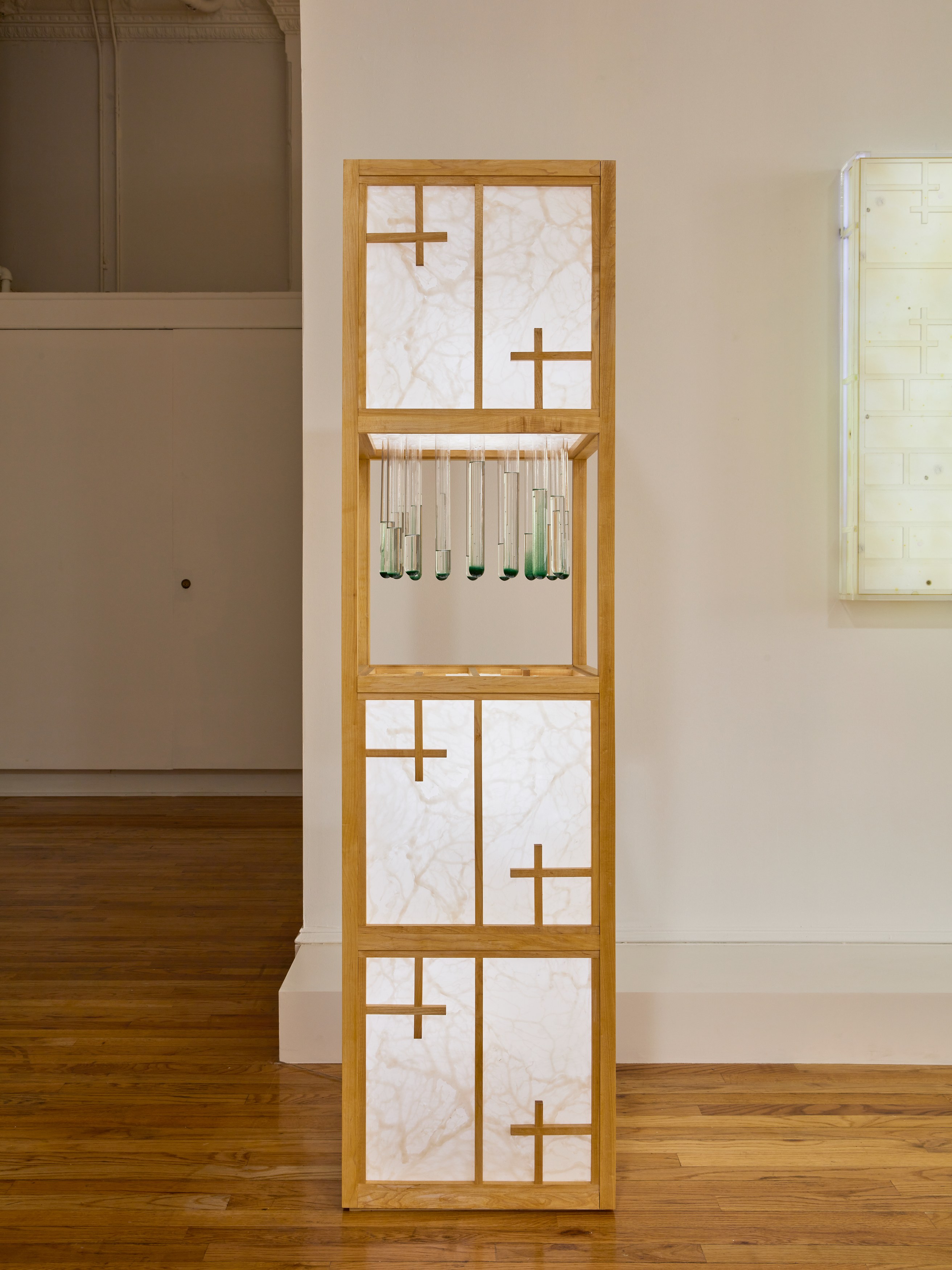 Transmutations, Transmutations at Bortolami, photo 14