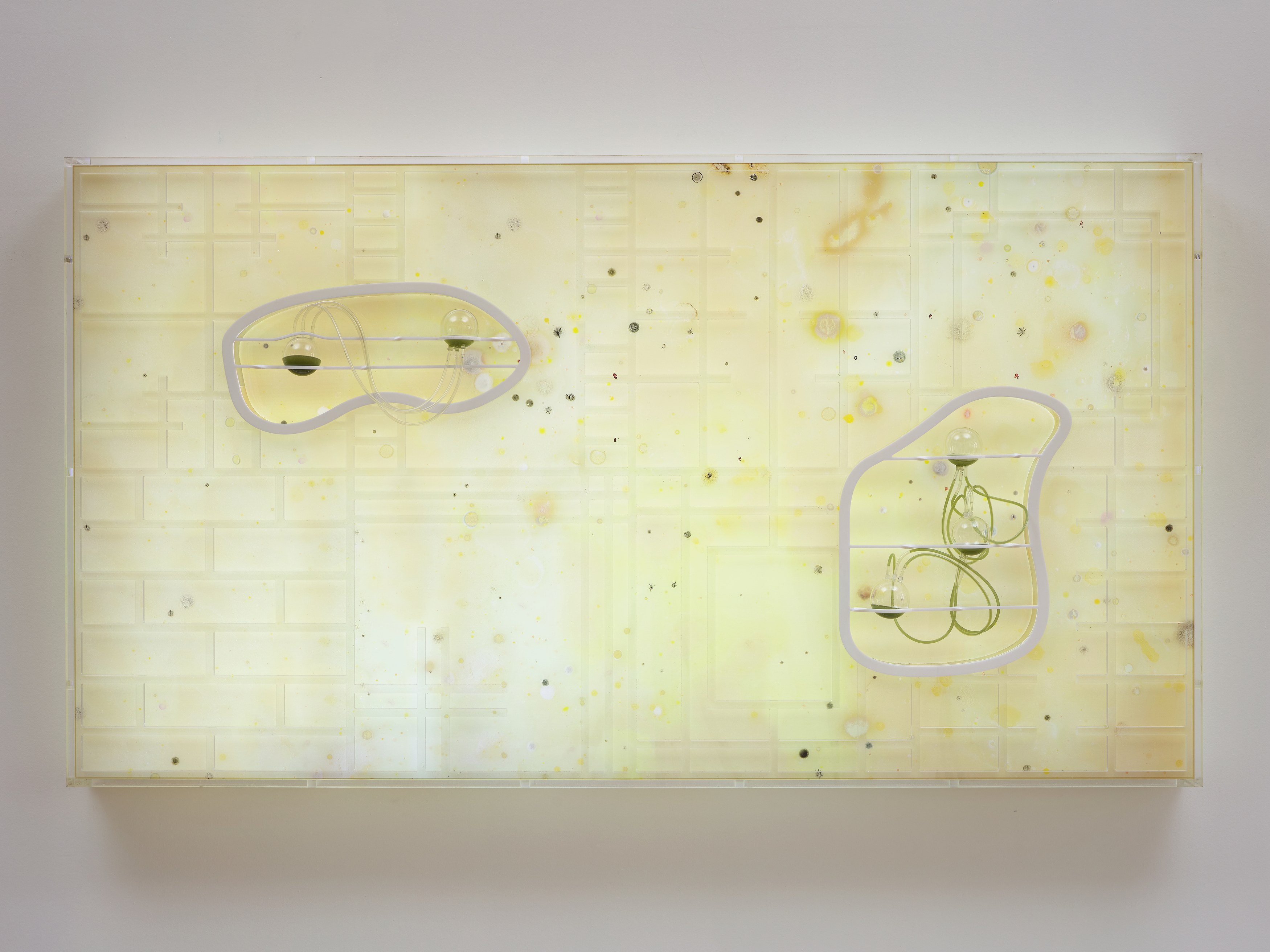 Transmutations, Transmutations at Bortolami, photo 25