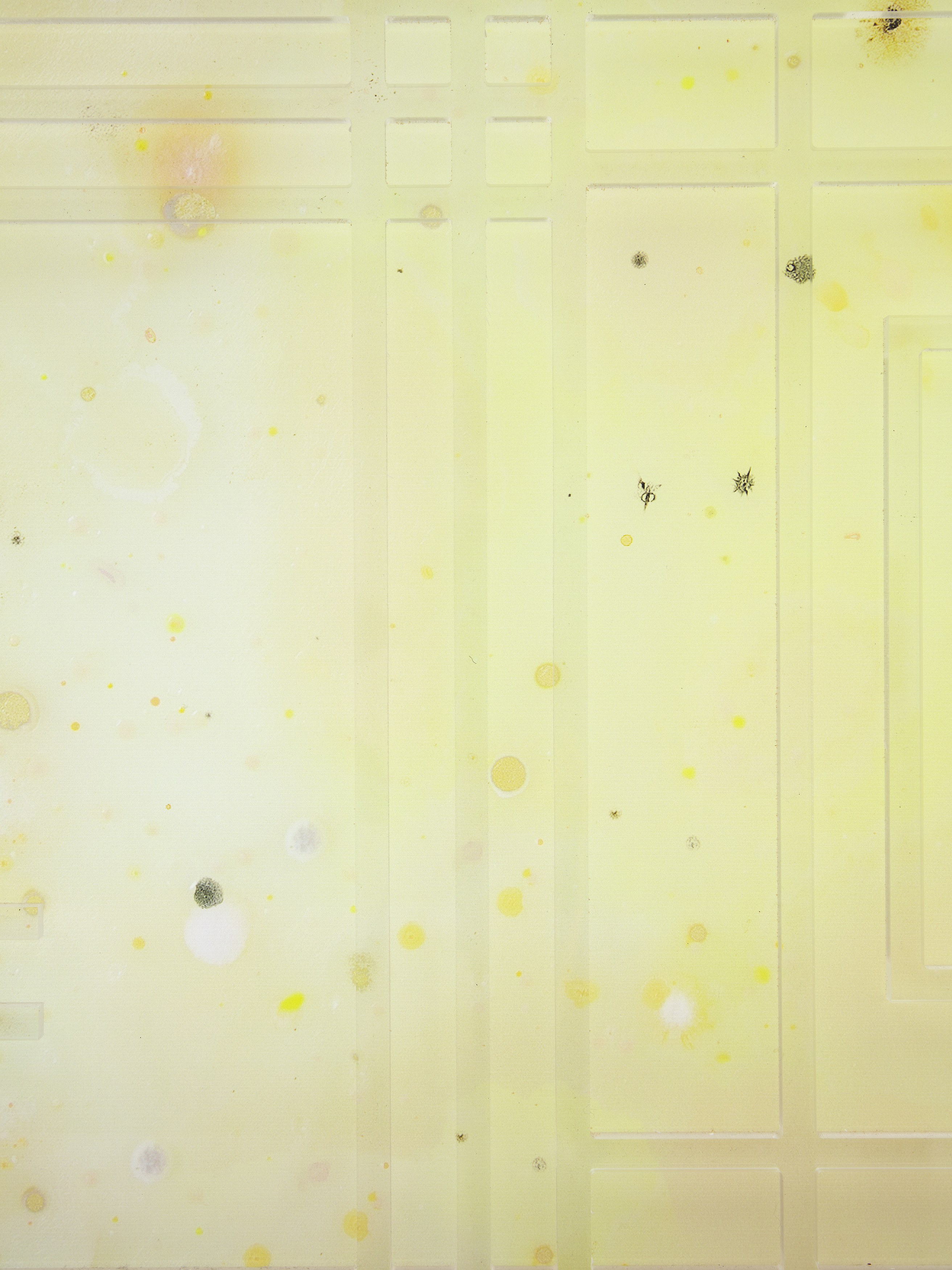 Transmutations, Transmutations at Bortolami, photo 27