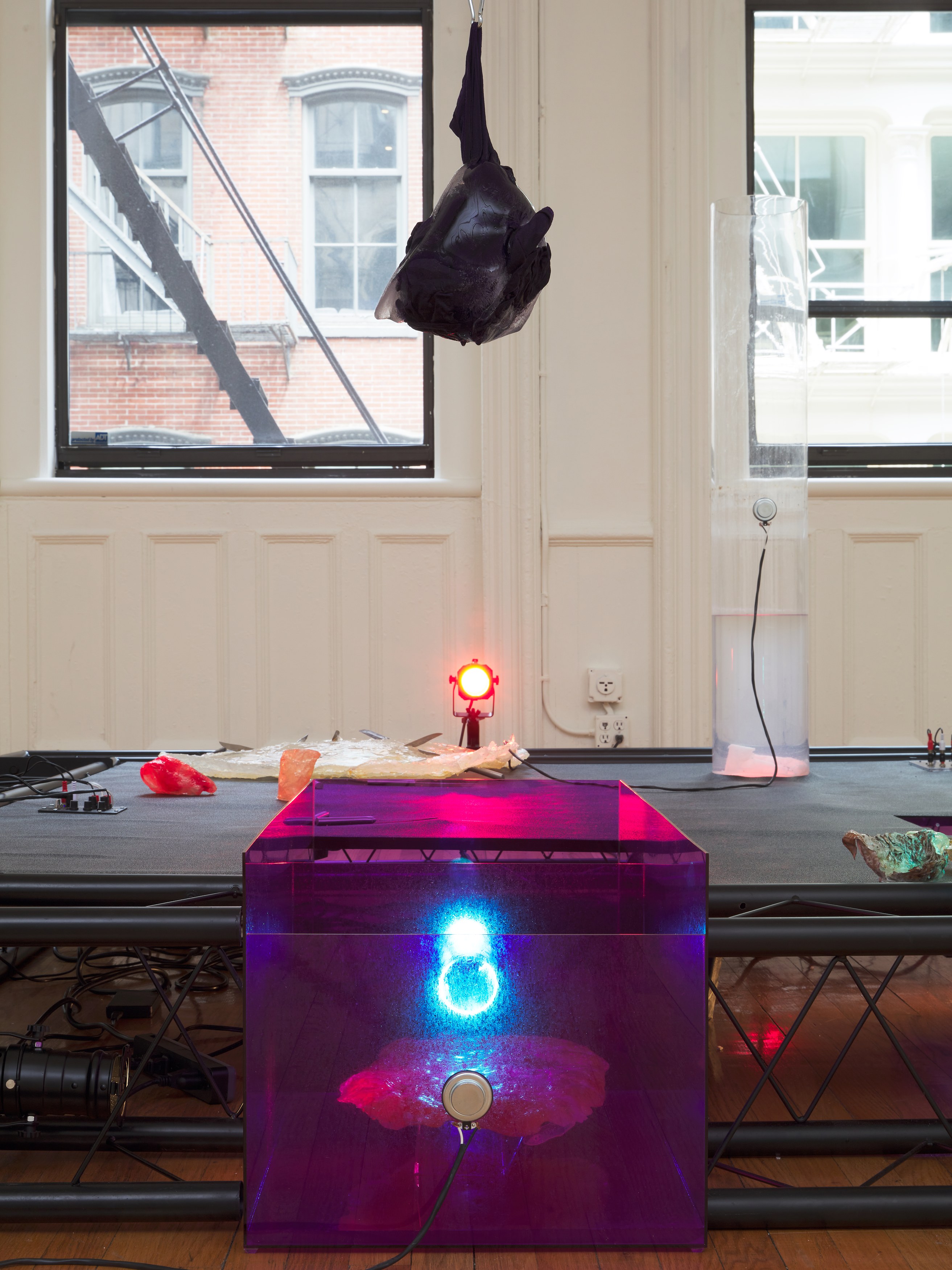 Transmutations, Transmutations at Bortolami, photo 18