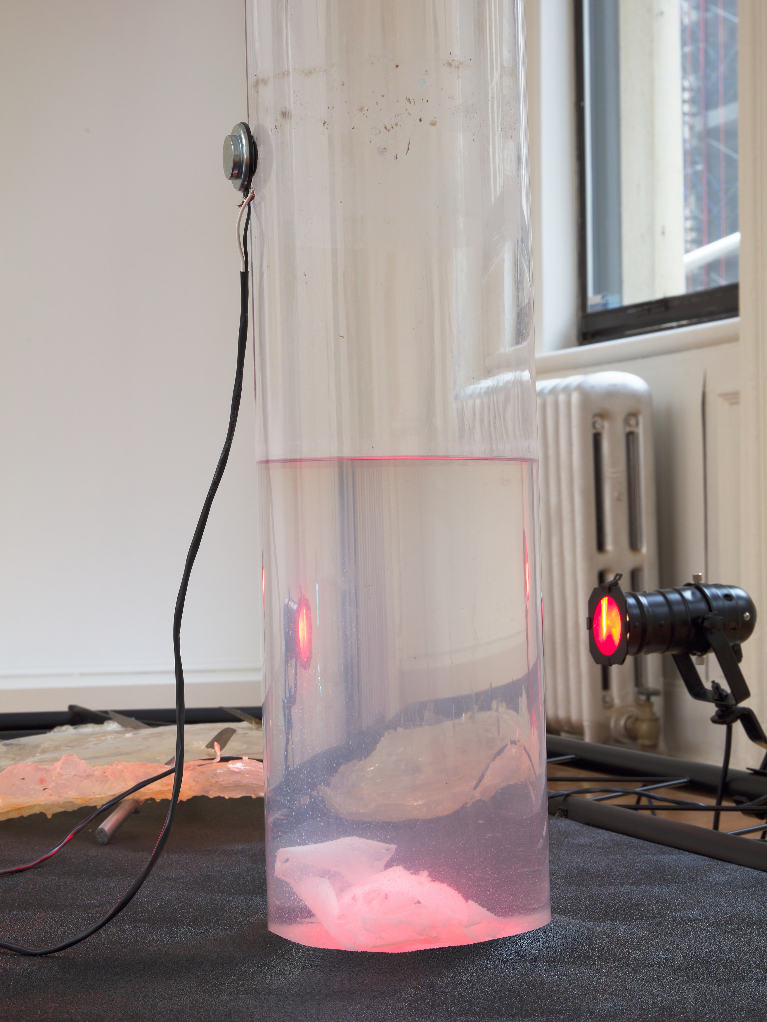 Transmutations, Transmutations at Bortolami, photo 22