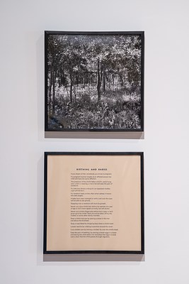 Image 17 of 38