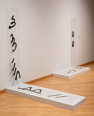 Image 11 of 38