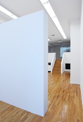 Image 1 of 11
