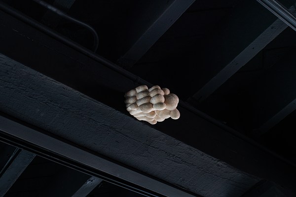Image 6 of 23