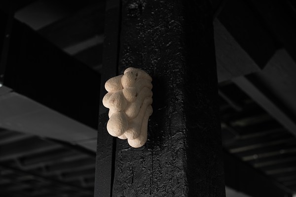Image 16 of 23