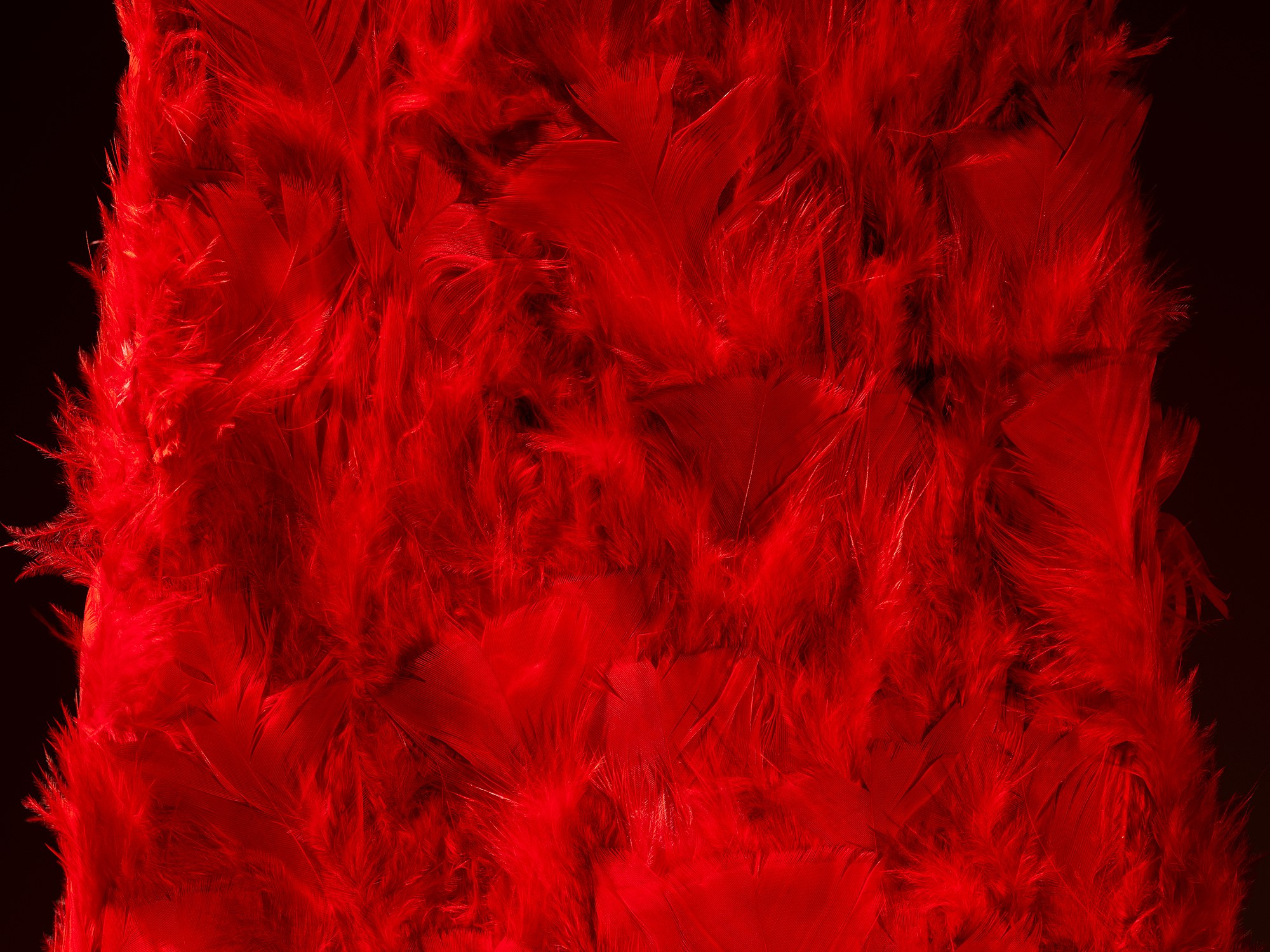 Lygia Pape, We Were Already Gone at Hauser & Wirth, photo 12