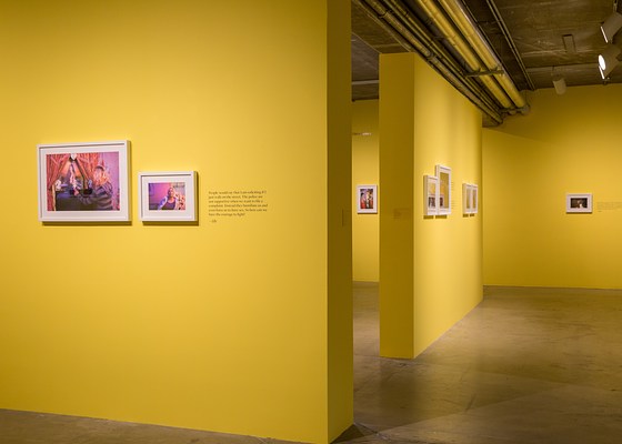 Image 20 of 131