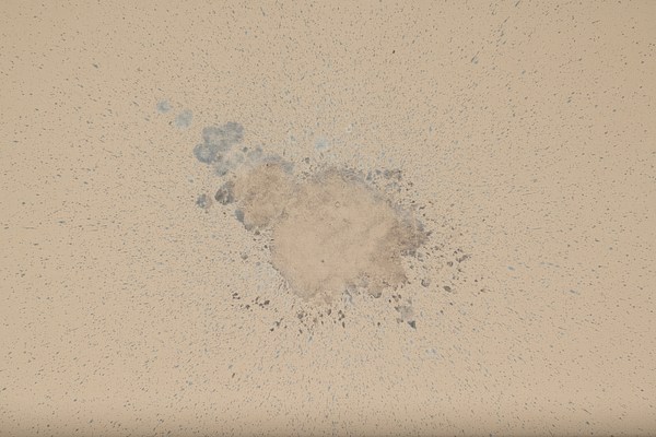 Image 21 of 40