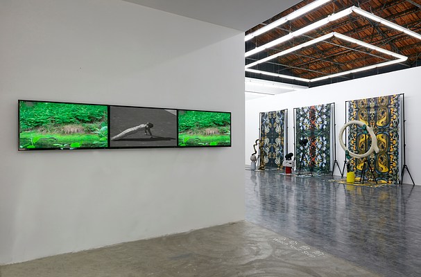 Image 4 of 17