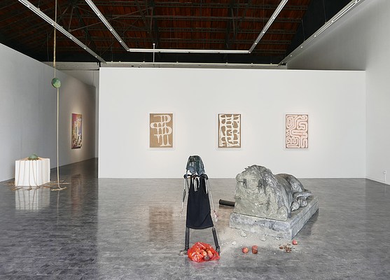 Image 4 of 58