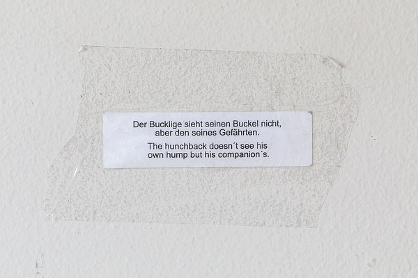 Image 9 of 15