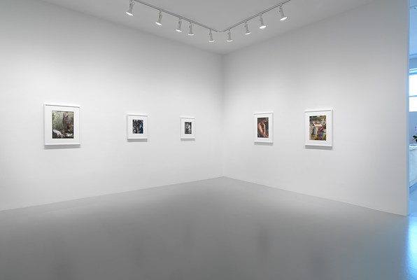 Image 2 of 15