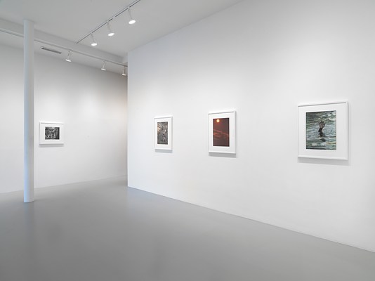 Image 5 of 15