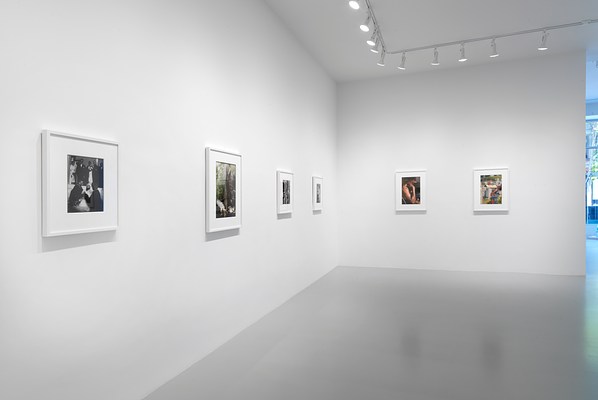 Image 6 of 15