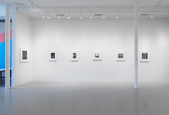 Image 4 of 15