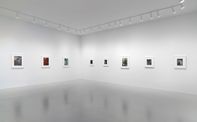 Image 8 of 15