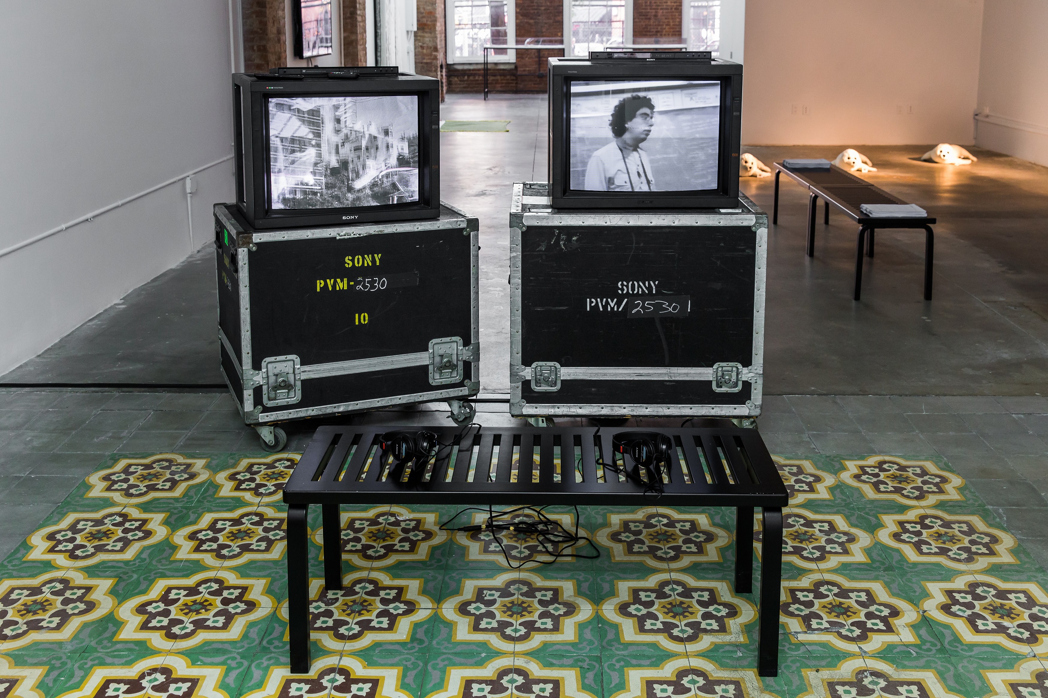 Against the Romance of Community, Against the Romance of Community at Swiss Institute, photo 2