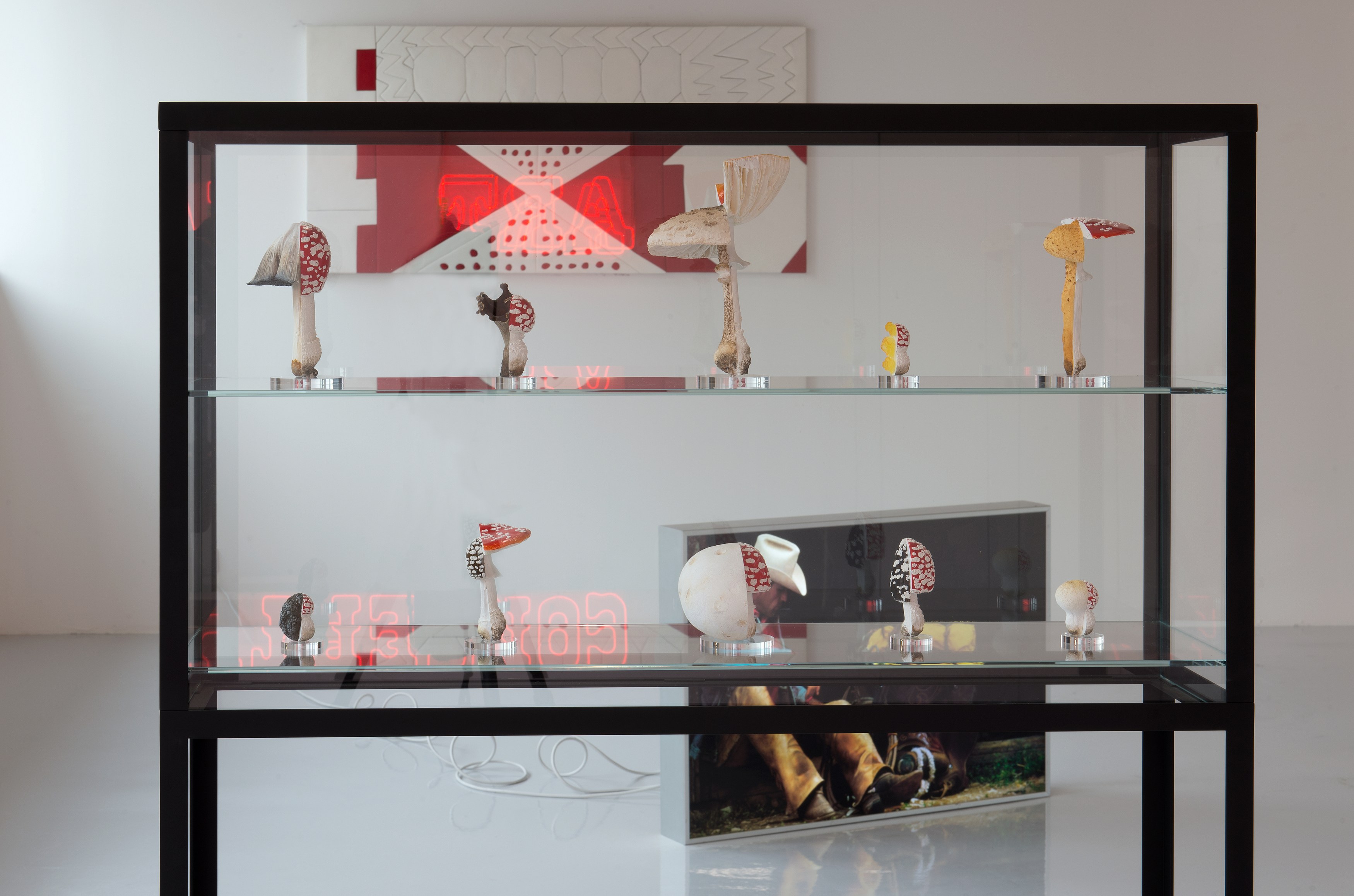 More, More at Air de Paris, photo 9