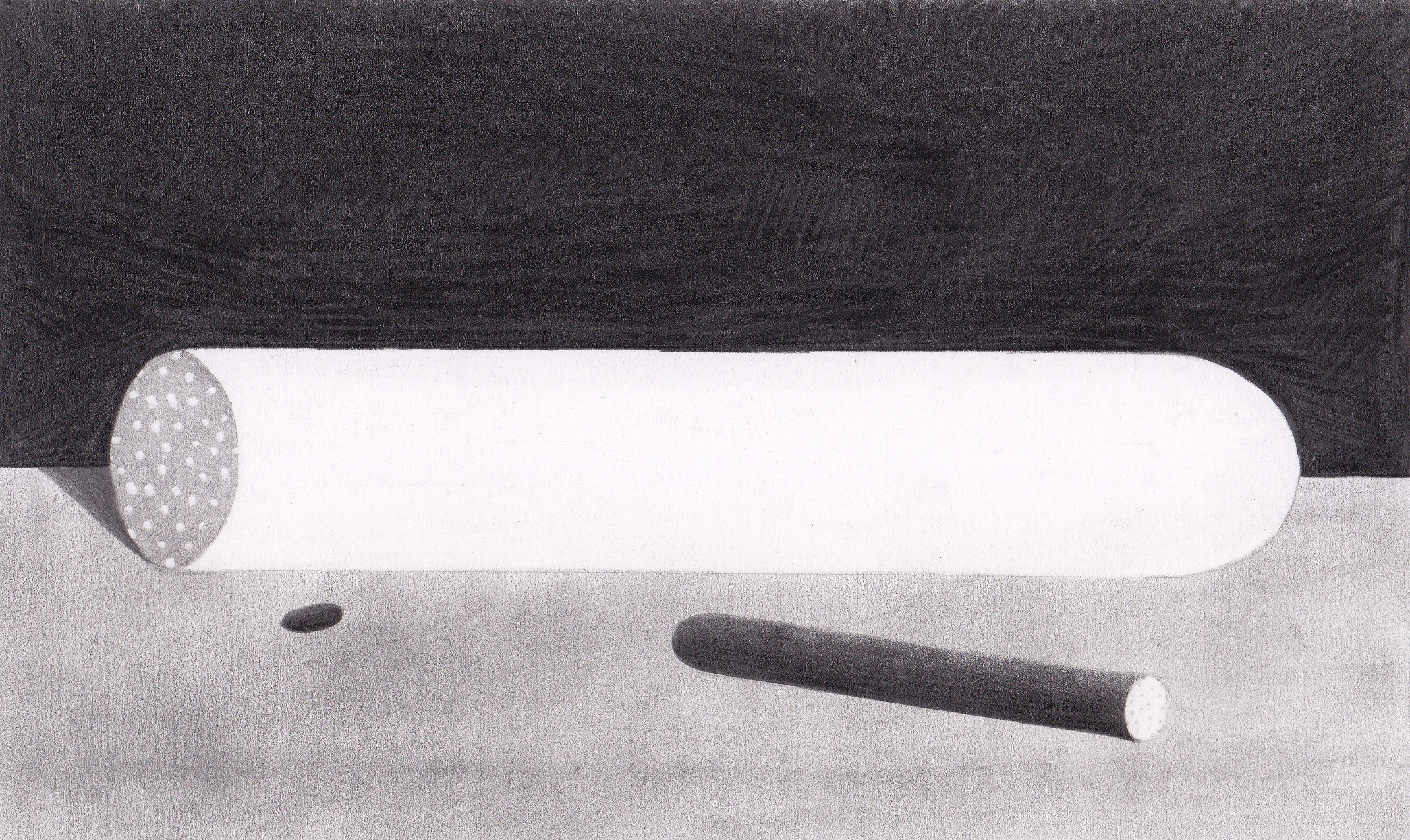 Nicolas Party, Still Life, Stones, and Elephants at Swiss Institute, photo 131