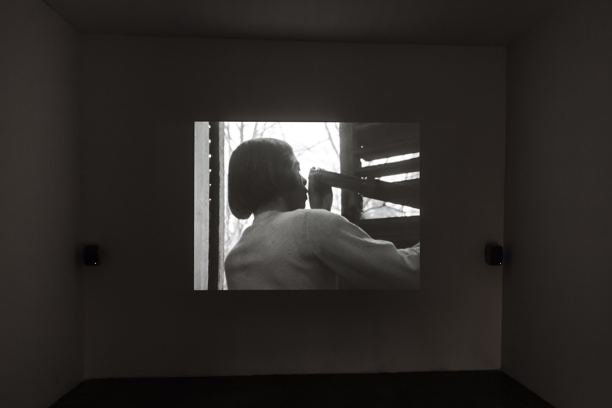 A Sunday in the Mountains, A Sunday in the Mountains at Swiss Institute, photo 24