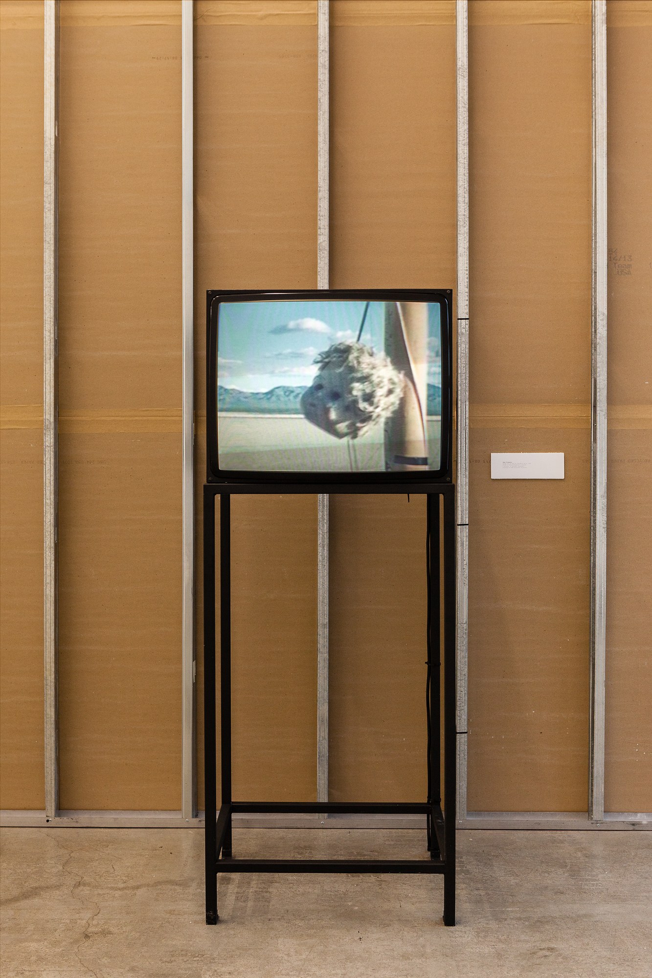 A Sunday in the Mountains, A Sunday in the Mountains at Swiss Institute, photo 18