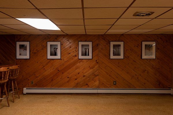 An installation view showing a dim, wood-paneled room lit by a single fluorescent light inset into a tan drop ceiling. The wood slats covering this wall are arranged diagonally to meet in the center, forming a chevron pattern pointing up to the ceiling. Hanging on the wall is a row of five matted and framed vertically oriented photographs, hung relatively close to the ceiling, evenly spaced horizontally. The photographs, with predominately cool colors and apparent use of flash, show various interior settings that appear to be inside corners of commercial passenger airplanes or their bathrooms. Within each photo, a single octopus or squid is draped over some element of the interior such as a bathroom faucet. The image shows a single wall parallel to the picture plane, but a pair of wooden barstools with backrests are visible at our far left.. . . 