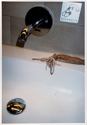 The photo, vertically oriented, depicts a sink and countertop that appear to be a public restroom sink lit by a bright flash. A grayish squid or octopus is draped over a white ceramic sink basin. The wall behind the sink has a grey tile backsplash from which a shiny metal faucet with a motion sensor juts out. A sticker on the backsplash demonstrates the use of the faucet with a simple line drawing and includes the word "automatic."