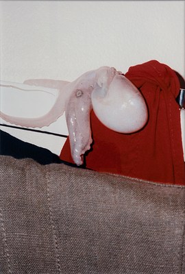 The photo, vertically oriented, depicts a surface upholstered with gray fabric and a red blanket. A pink-white octopus or squid, its head shiny and egg-shaped, is draped over the blanket and a white plastic ledge that seamlessly connects to a white wall.