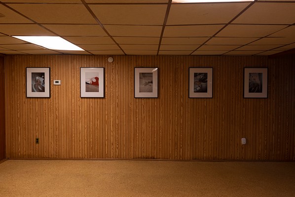 An installation view showing a dim, wood-paneled room lit by a single fluorescent light inset into a tan drop ceiling. The floor is a pale brown with a yellowy hue with a texture that could be carpeting or cork. Hanging on the wall is a row of five matted and framed vertically oriented photographs, hung relatively close to the ceiling, evenly spaced horizontally. The photographs, with predominately cool colors and apparent use of flash, show various interior settings that appear to be inside corners of commercial passenger airplanes or their bathrooms. Within each photo, a single octopus or squid is draped over some element of the interior such as a bathroom faucet. The wood-paneled wall is made from vertical slats of yellow-brown-stained wood with visible grain. The image shows a single wall parallel to the picture plane.. . . . 
