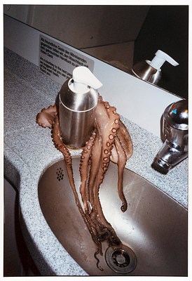 A portrait-format photograph depicting a small, pink-brown octopus draped around a soap dispenser in an airplane bathroom, its tentacles dangling down into the oval-shaped metal sink. The ends of its tentacles appear like worms in a puddle near the drain. The photo is lit by a flash, in a style reminiscent of fashion or street photography. A sticker with text under the wall mirror, in German and then English, asks users of the bathroom to be courteous to the next user.
