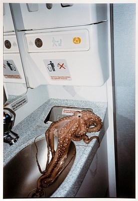 The photo, vertically oriented, depicts a sink and countertop that appear to be an airplane bathroom lit by a bright flash. A pink-brown octopus, its tentacles lined with circular suction cups, is draped over a metal built-in trashcan set into the speckled grey plastic countertop. The ends of the tentacles are hanging down into the small oval-shaped metal sink, their dark, worm-like ends just reaching the drain. The wall behind the bathroom counter includes various signs and stickers instructing people about how to use the various features of the bathroom appropriately.