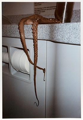 A pink-brown octopus is draped over the counter of an airplane bathroom. The bulk of the animal's body is out of view, but we can see long tentacles hanging over the edge of the counter and over a built in toilet paper dispenser. The countertop is made of a faux-stone speckled with black and dark gray flecks, and a piece of metal sink hardware is visible in the top right corner of the photograph. The photo is lit harshly, as if by a flash in the dark. the two tentacles hanging down are covered in circular suction cups and terminate in dark, worm-like strands clinging to the wall.