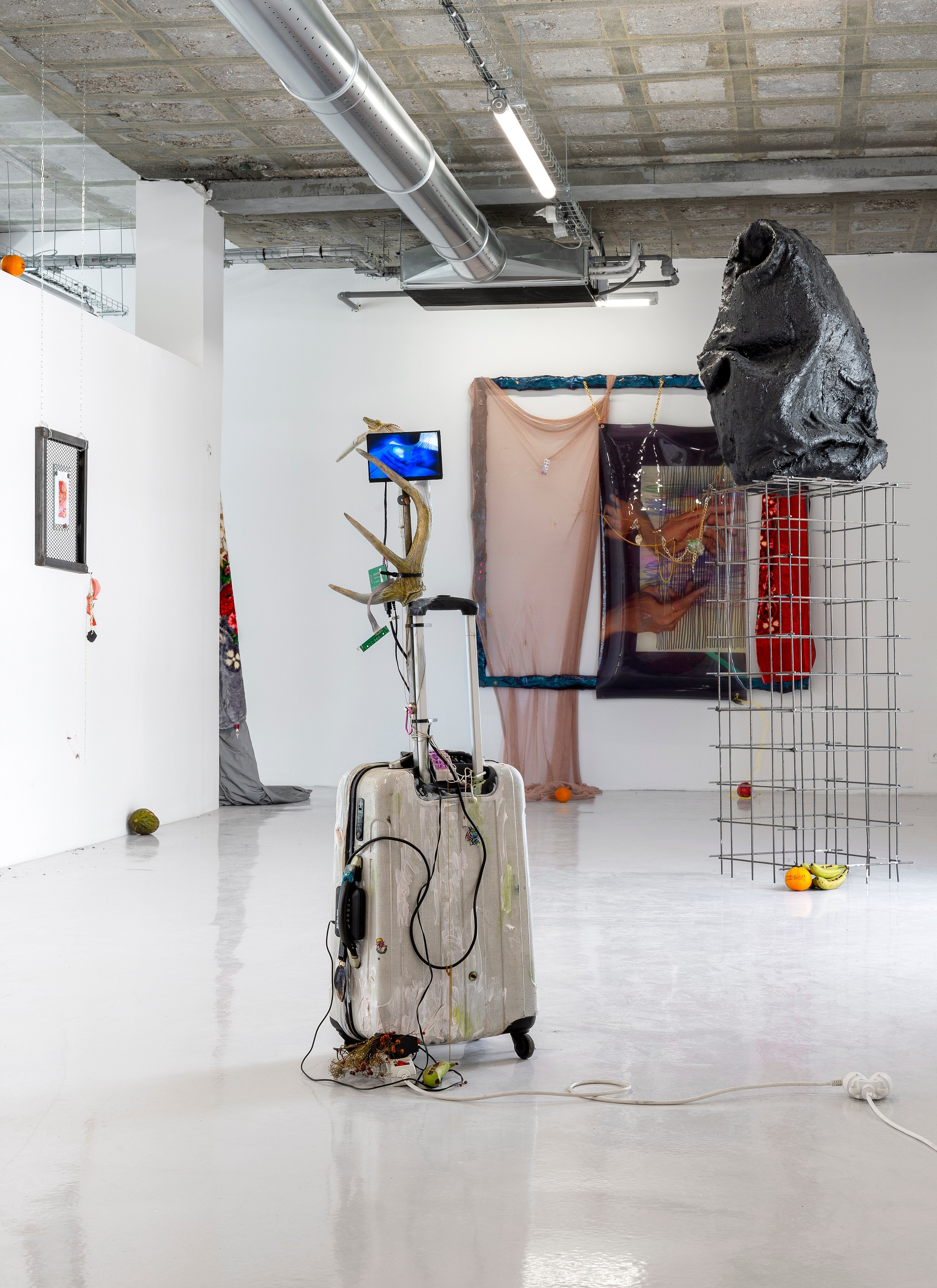 Gaëlle Choisne, Mondes Subtiles at Air de Paris, photo 3