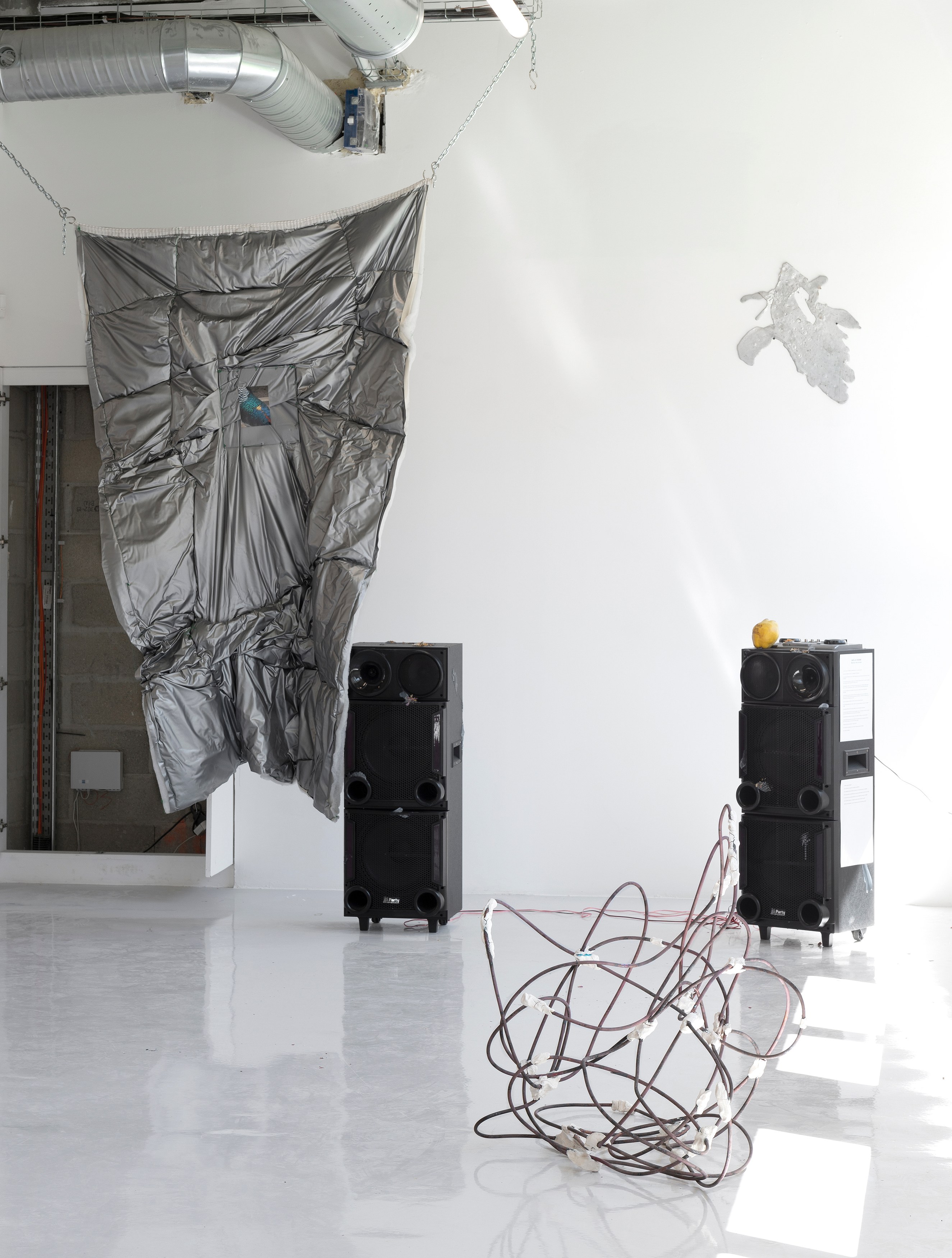 Gaëlle Choisne, Mondes Subtiles at Air de Paris, photo 8