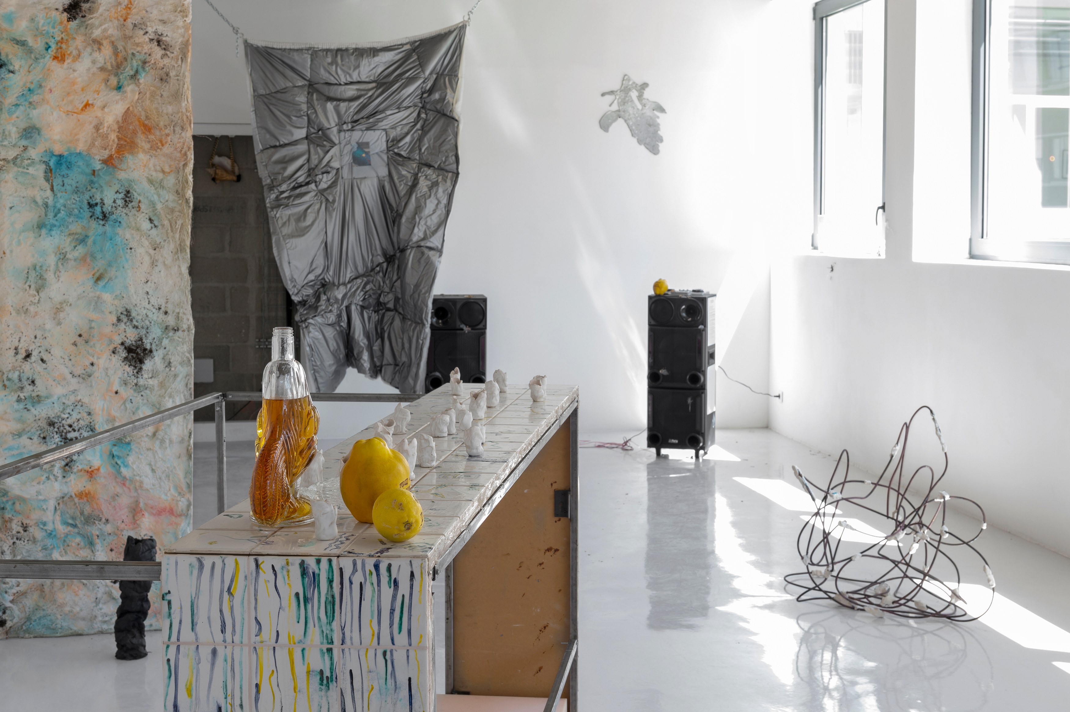 Gaëlle Choisne, Mondes Subtiles at Air de Paris, photo 10
