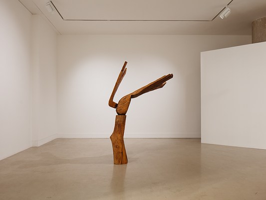 Image 1 of 21