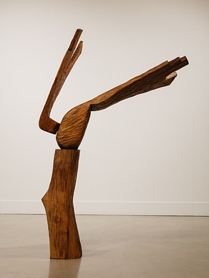 Image 7 of 21