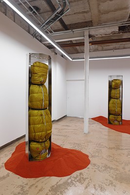 Image 11 of 15