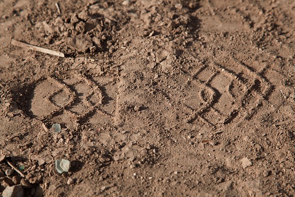 Image 10 of 14
